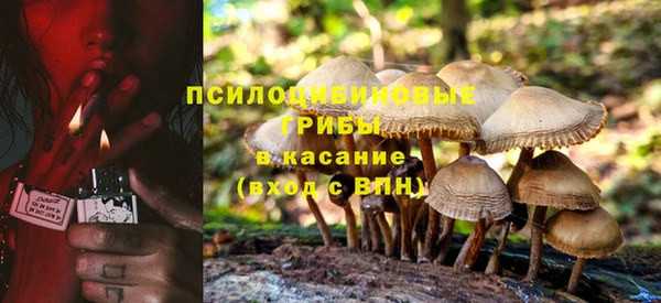 spice Елизово