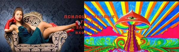 наркотики Ельня