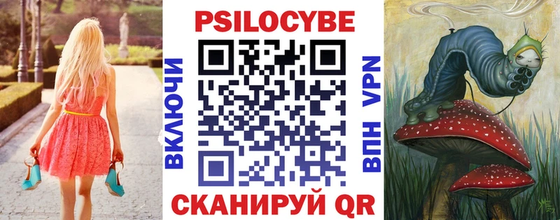 Галлюциногенные грибы Psilocybine cubensis  Купить  Рудня 